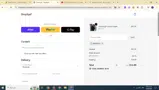 WINTER10 coupon verification screenshot