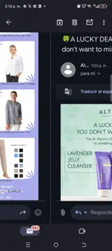 Spring15 coupon verification screenshot