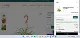 PLANTCLUB coupon verification screenshot