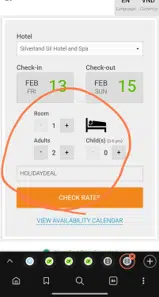 HOLIDAYDEAL coupon verification screenshot
