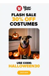 HALLOWEEN30 coupon verification screenshot