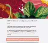 AUTUMN6 coupon verification screenshot