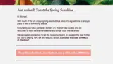 SPRING3 coupon verification screenshot