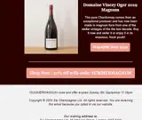 SUMMERMAGNUM coupon verification screenshot