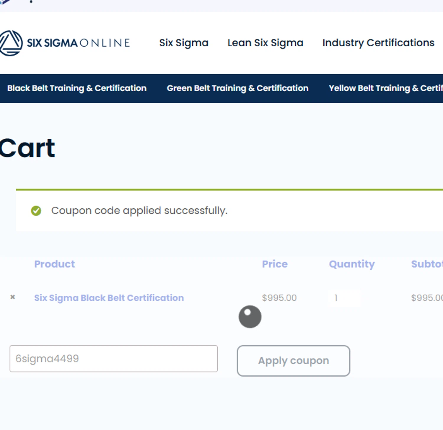 Six Sigma Online checkout page showing Six Sigma Online promo code box | Screenshot taken by SimplyCodes community member on Jun 13, 2025