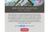 FESTIVE20 coupon verification screenshot