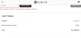 SAVE20 coupon verification screenshot