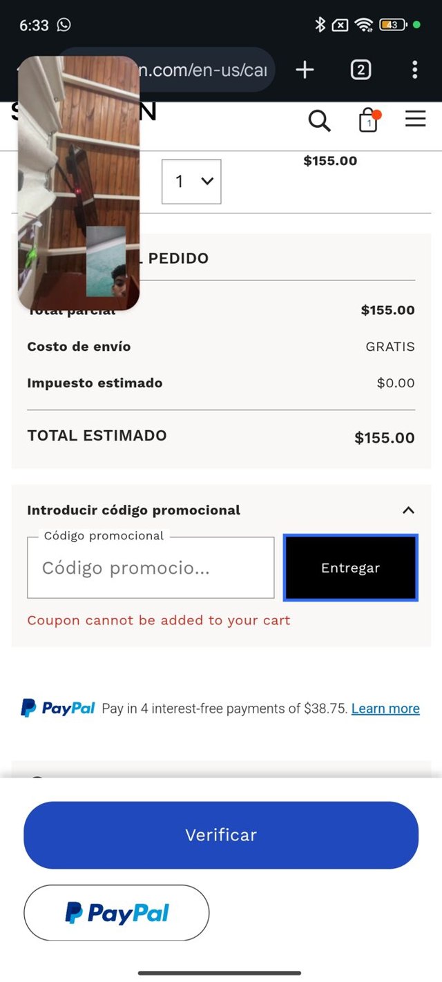 Skagen checkout page showing Skagen promo code box | Screenshot taken by SimplyCodes community member on Jan 27, 2025