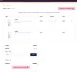 SAVE10 coupon verification screenshot