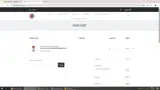 PATRICKDAY coupon verification screenshot