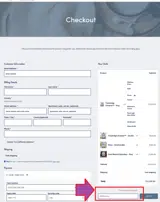 SPRING2025 coupon verification screenshot