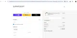 SPRINGSALE coupon verification screenshot
