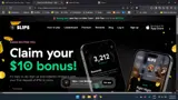 Slips coupon verification screenshot