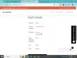 INSP0FITS coupon verification screenshot