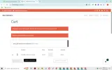 CHECKOUT10 coupon verification screenshot
