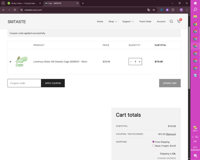 SMTASTE checkout page showing SMTASTE coupon code box | Screenshot taken by SimplyCodes community member on Sep 5, 2025