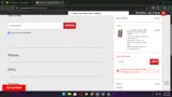 Sneaky Pete Holsters coupon verification screenshot