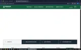 BUYFLEX&SAVE$30 coupon verification screenshot