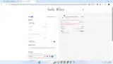Sole Bliss coupon verification screenshot