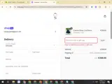 ESSENTIALS10 coupon verification screenshot