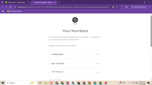 Sonetel checkout page showing Sonetel promo code box | Screenshot taken by SimplyCodes community member on Mar 19, 2025