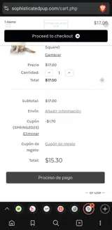 SPRING2025 coupon verification screenshot