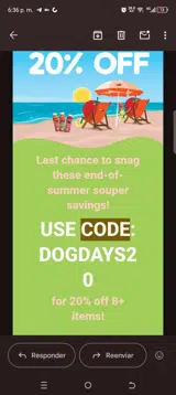 DOGDAYS20 coupon verification screenshot