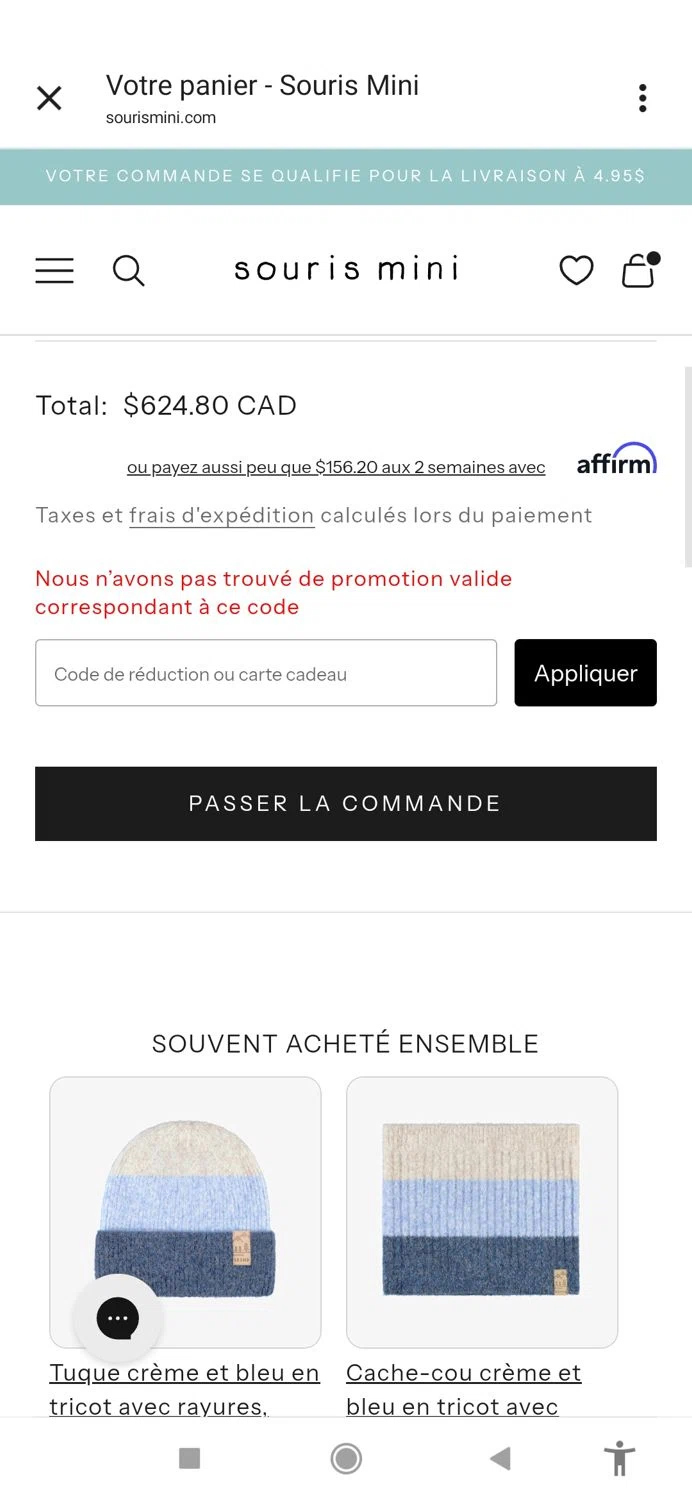 Souris Mini promo code screenshot showing code EXTRA20 applied at Souris Mini checkout page. Uploaded by SimplyCodes community member IFeelGood3 on Oct 20, 2025