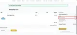 DAZZLE20 coupon verification screenshot