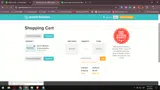 LEAPDAY2020 coupon verification screenshot
