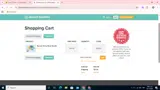 WELOVEMOMS coupon verification screenshot