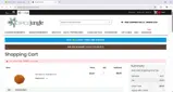THANKS10 coupon verification screenshot