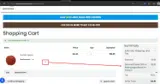 PI coupon verification screenshot