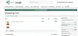 THANKS10 coupon verification screenshot
