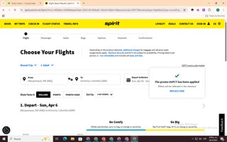 Spirit Airlines Promo Codes (1 Verified) - 20% Off Jul 2025