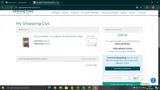 SUMMERFINALE coupon verification screenshot