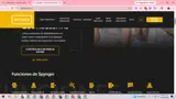 SPYNGERDISC20 coupon verification screenshot