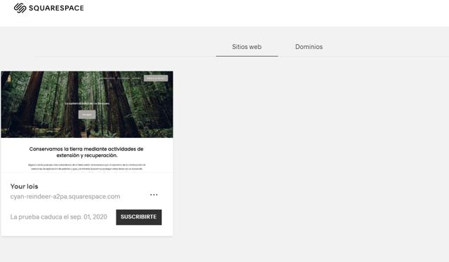 Squarespace checkout page showing Squarespace promo code box | Screenshot taken by SimplyCodes community member on Aug 18, 2020