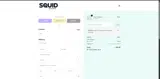Squid Socks coupon verification screenshot