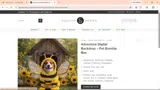 D3DE coupon verification screenshot