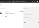 Stacy Adams coupon verification screenshot