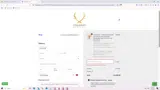 GOLDEN coupon verification screenshot