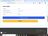 punching10 coupon verification screenshot