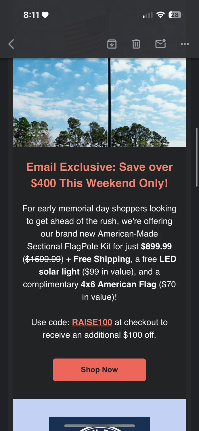 STAND Flag Poles promo code screenshot showing code Raise100 applied at STAND Flag Poles checkout page. Uploaded by SimplyCodes community member NPGF10 on May 5, 2025