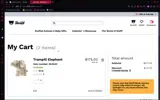 THANKYOU10 coupon verification screenshot