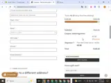 Steinel Ammunition coupon verification screenshot