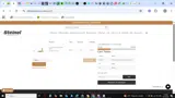Steinel Ammunition coupon verification screenshot