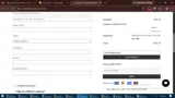 Steinel Ammunition coupon verification screenshot