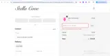 PINK coupon verification screenshot