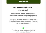CANVAS25 coupon verification screenshot